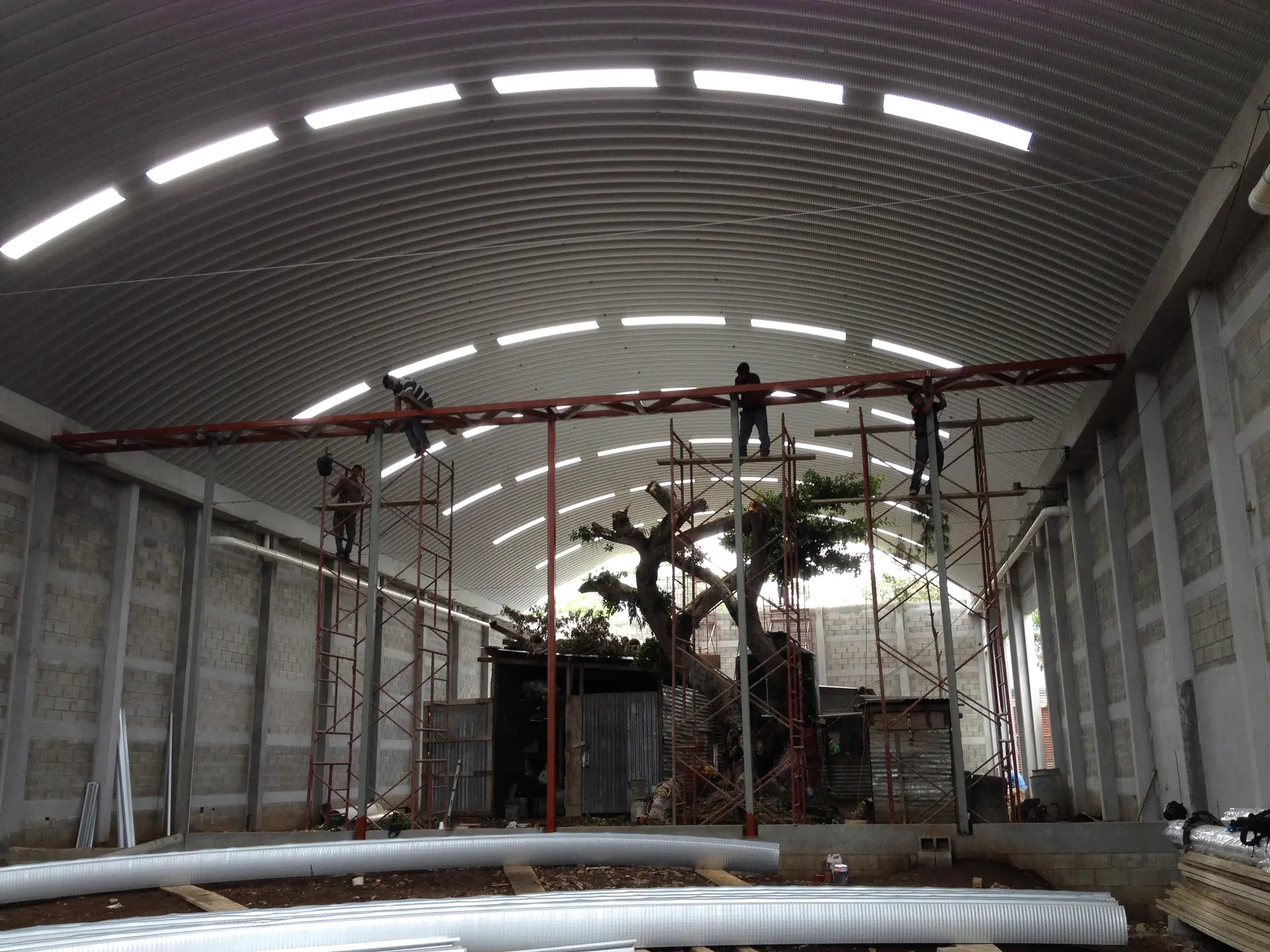 Interior de una obra con trabajadores, andamios y un árbol bajo el techo curvo